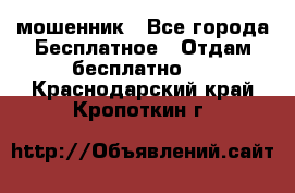 мошенник - Все города Бесплатное » Отдам бесплатно   . Краснодарский край,Кропоткин г.